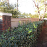 brick and wood fence project